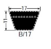 Courroie trapézoïdale 17x11 - B66 - 17 X 1680 - Challenge