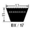 Courroie trapézoïdale crantée  BX 67 - 17 X 1700 - Challenge